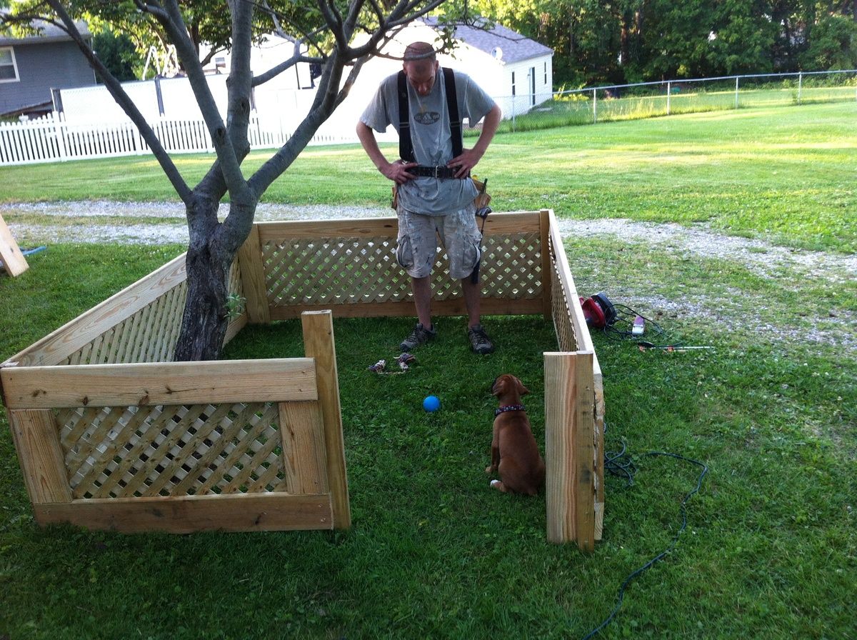 What To Do With Backyard Dog Poop Backyard Caring