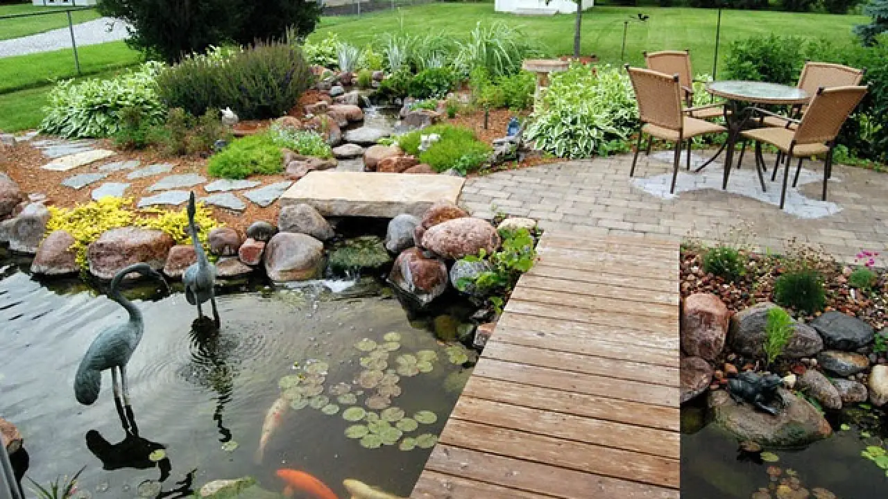 Do Backyard Pond Increase Home Value? Backyard Caring