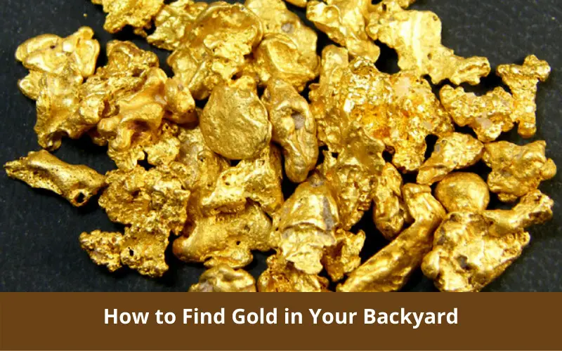 How to Find Gold in Your Backyard