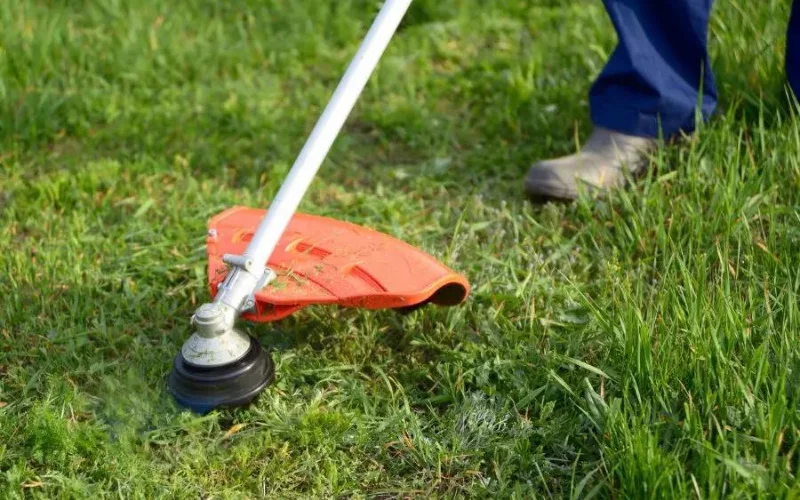 Cut Grass Without a Lawnmower