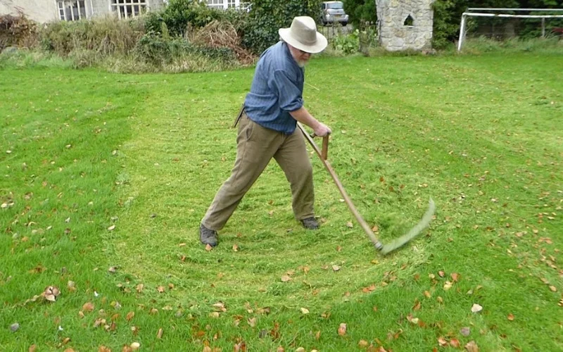 Cut Grass Without a Lawnmower