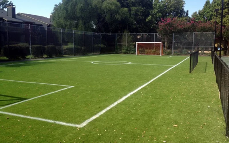 Football Field In Your Backyard