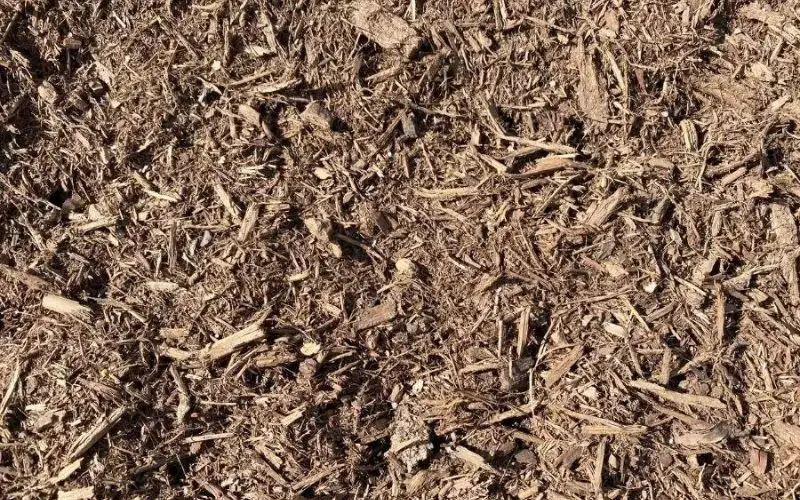 Old Mulch