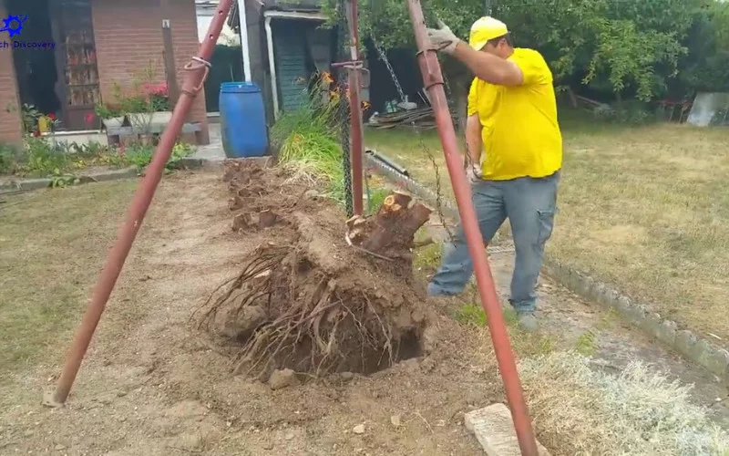 How To Pull Stump