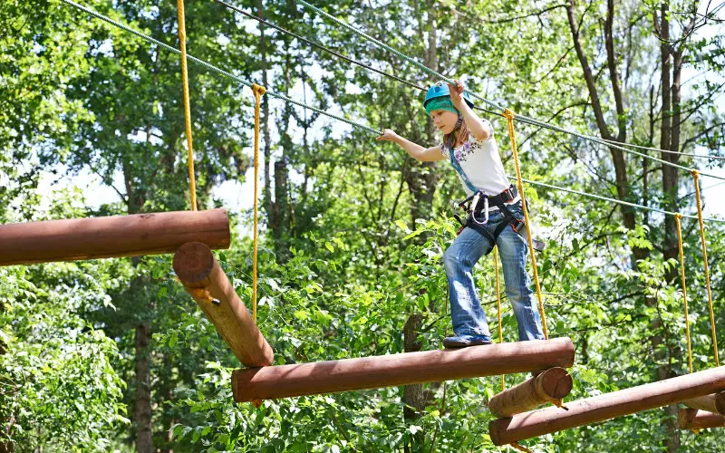 Climbing Rope Structure