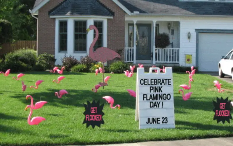 Pink Flamingo