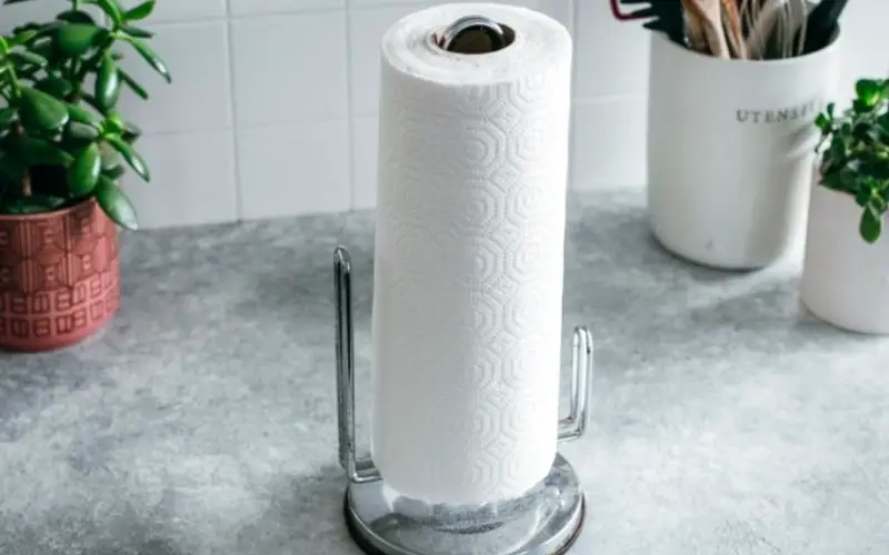Can Paper Towels Be Composted