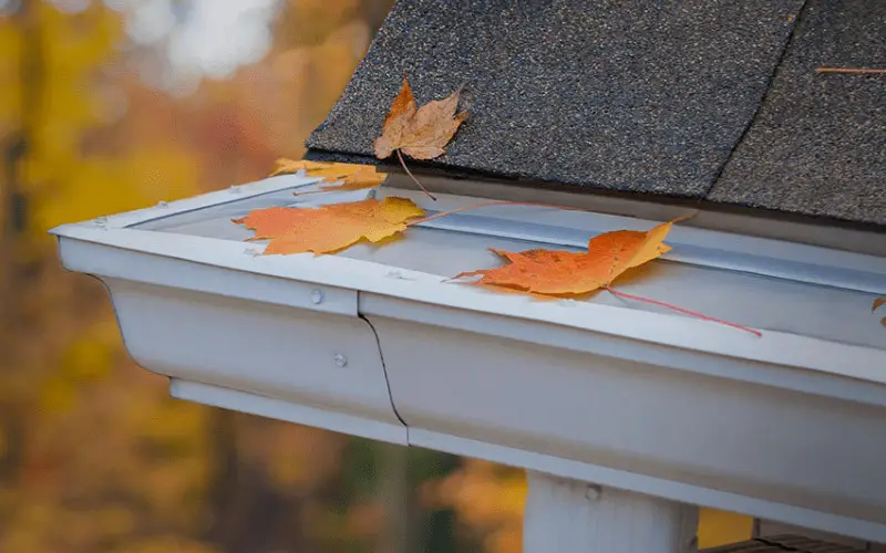 Leaf Filter Vs Leaf Guard