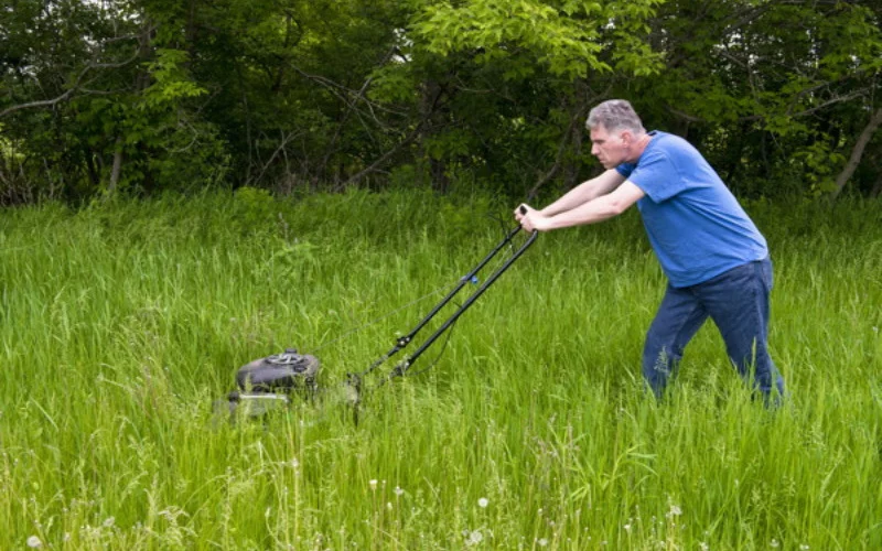 Easiest Way to Cut Tall Grass