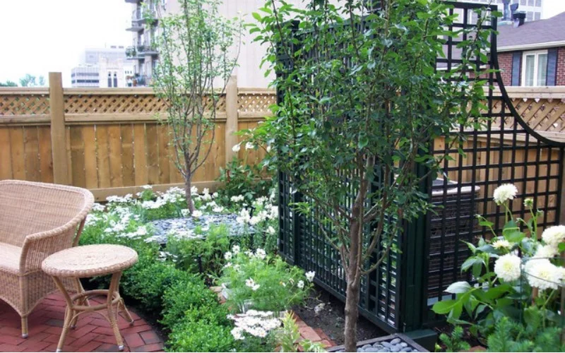 Backyard Landscaping Ideas