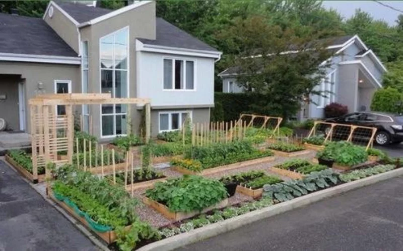 Backyard Landscaping Ideas