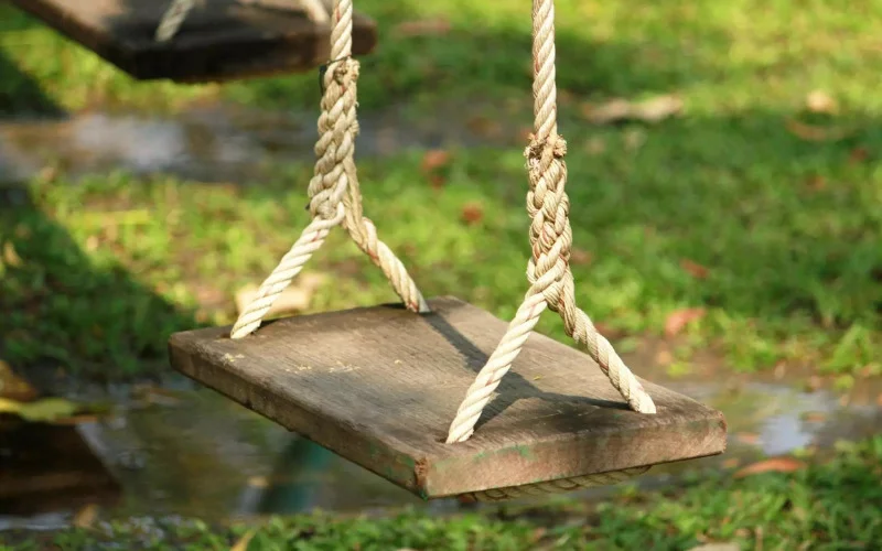 Is Rope Or Chain Better For A Tree Swing
