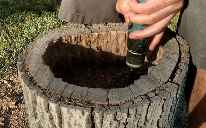 Best Way To Hollow Out A Tree Stump