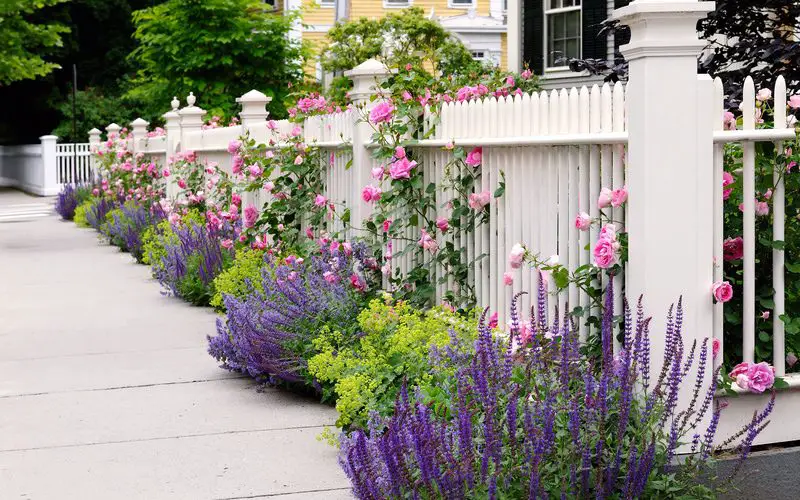 Plant Flowers Around Your Fence