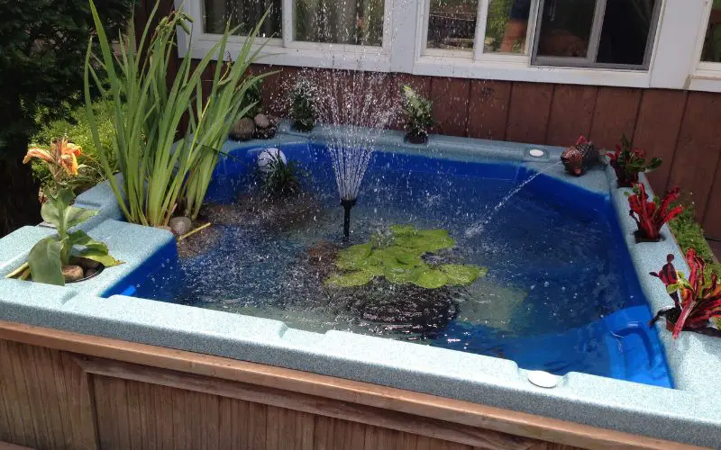Hot Tub Koi Pond