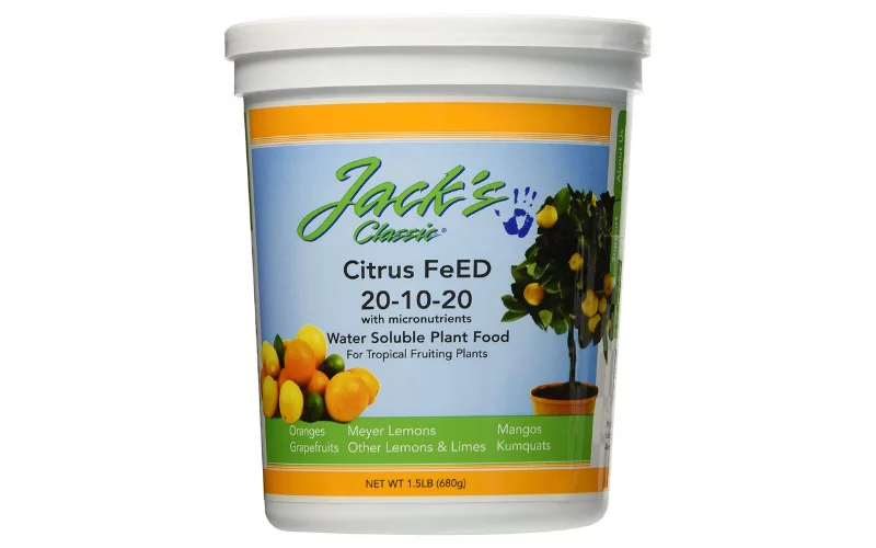 What Is The Best Citrus Tree Fertilizer