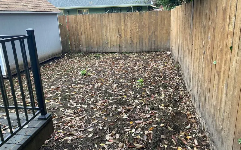 What To Do With Dirt Backyard
