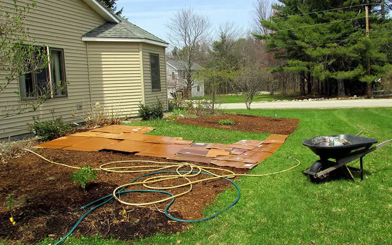 You Can Cover The Dirt Backyard With Mulch
