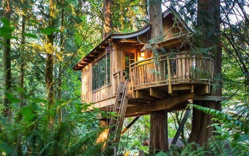 Coolest Treehouse Ideas