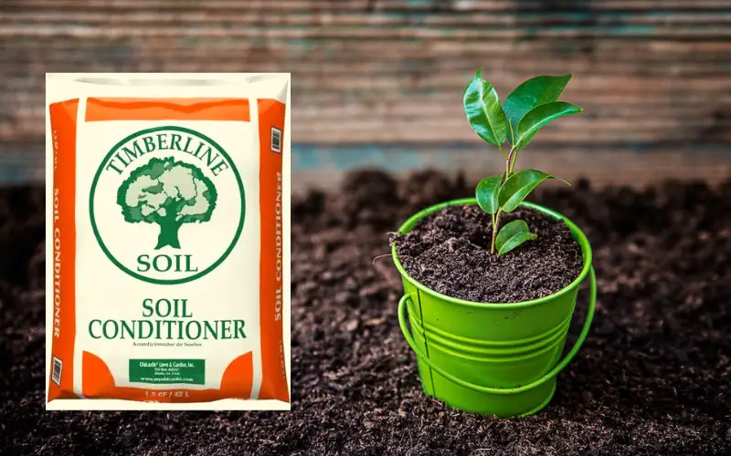 What Does Soil Conditioner Do