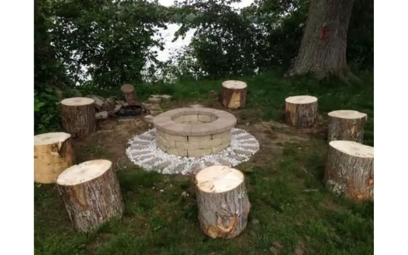 Tree Stump Ideas
