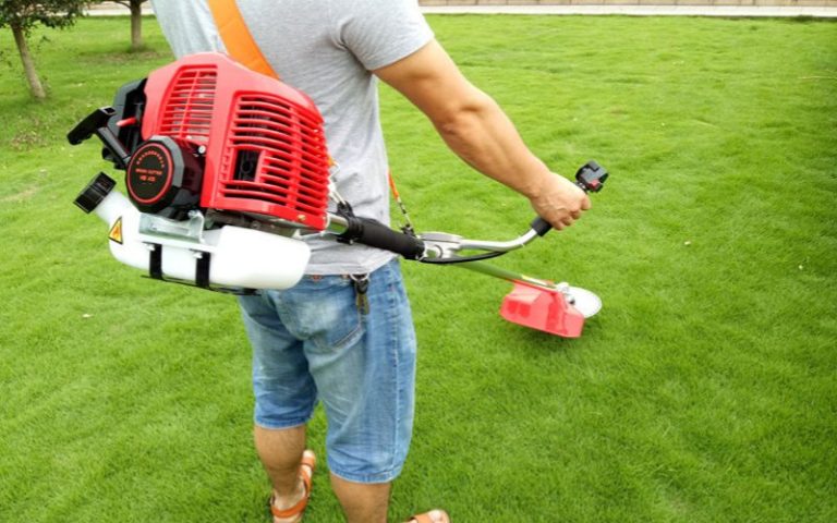 How To Mix Gas And Oil For Weed Eater (Easy Guide) - Backyard Caring