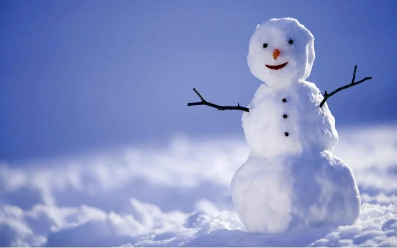 How To Build A Snowman Kit