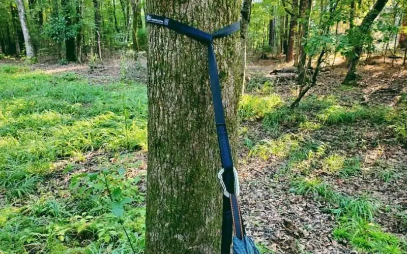 What are tree straps and how are they used?