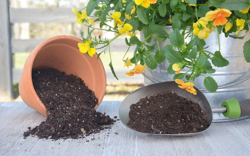 What Is Potting Soil