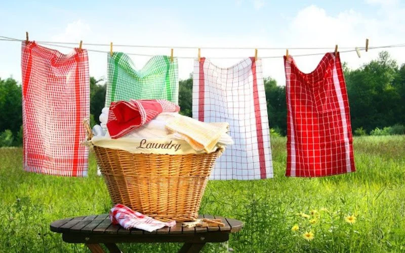 What States Have A Clothesline Ban in the USA?