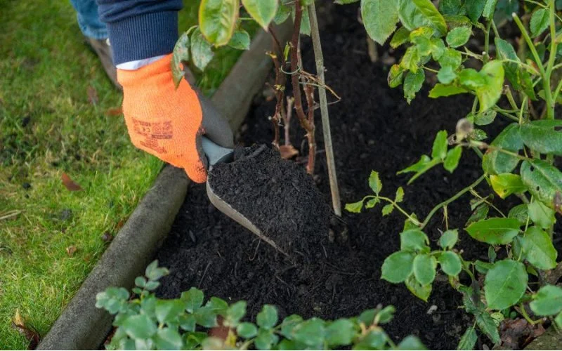 How Important Is Mulching To Your Garden