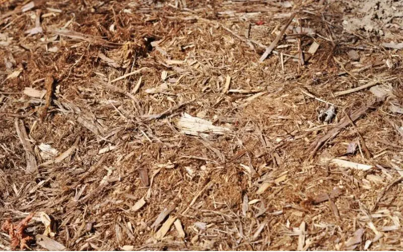 Does Mulch Go Bad? (And How Do You Find Out?)