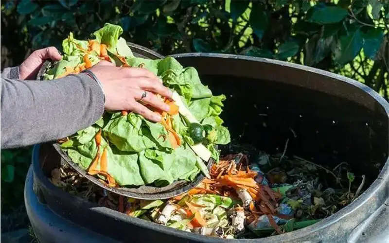 Should A Composter Be In Sun Or Shade?