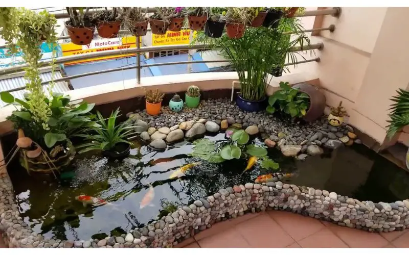 The Balcony Koi Pond