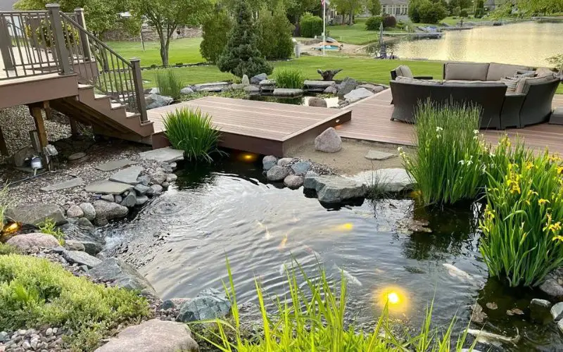 Koi Pond With Viewing Trail